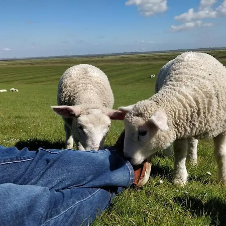 Auszeit Ii Am Deich Auf